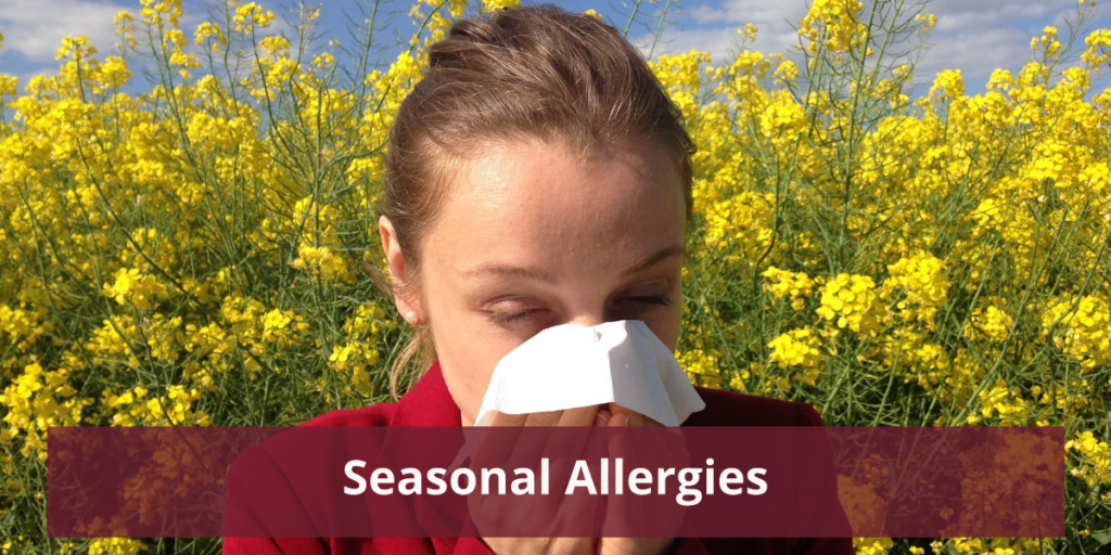 Herbal Tinctures To Alleviate Seasonal Allergies