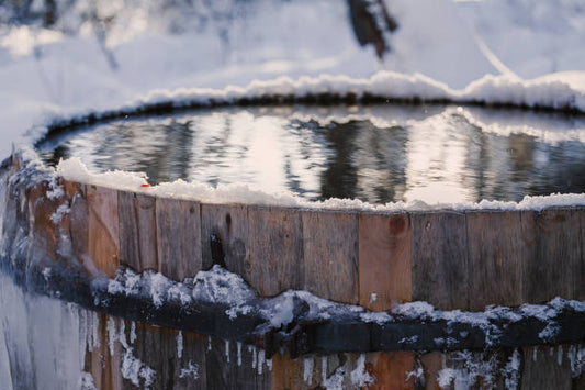 Cold Plunging For Wellness & Recovery