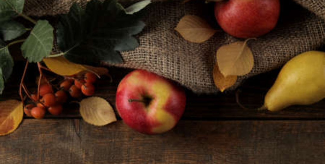 Autumn Harvest All Natural Vegan Bath Bar
