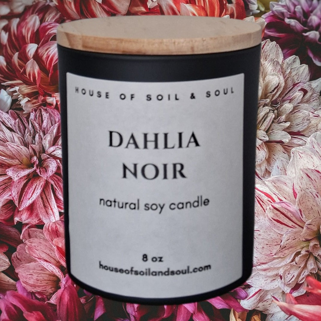 Dahlia Noir