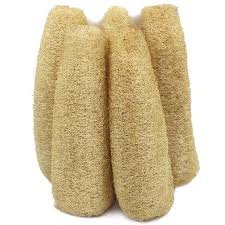 Natural Whole Loofah Sponge