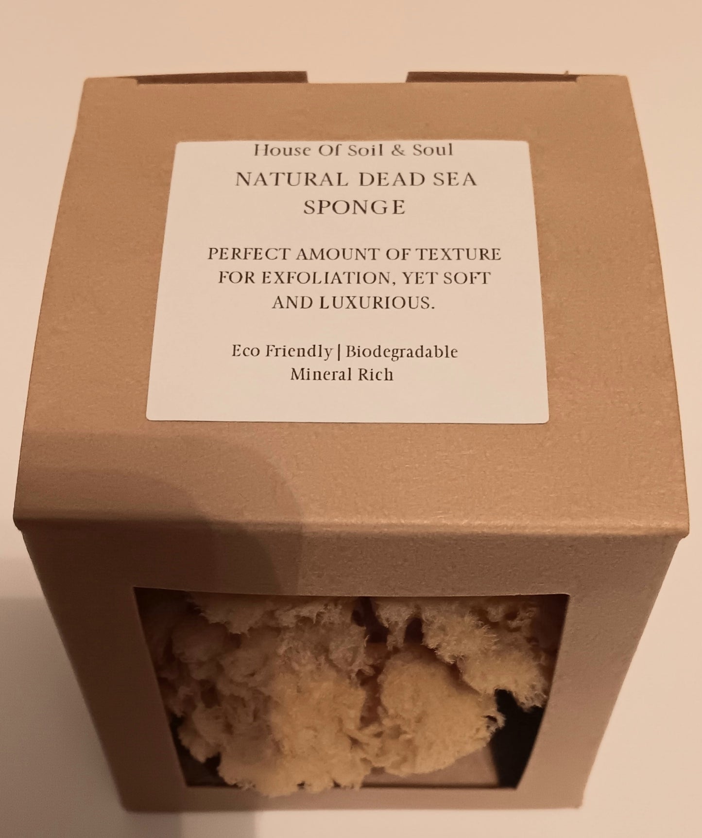 Natural Dead Sea Sponge