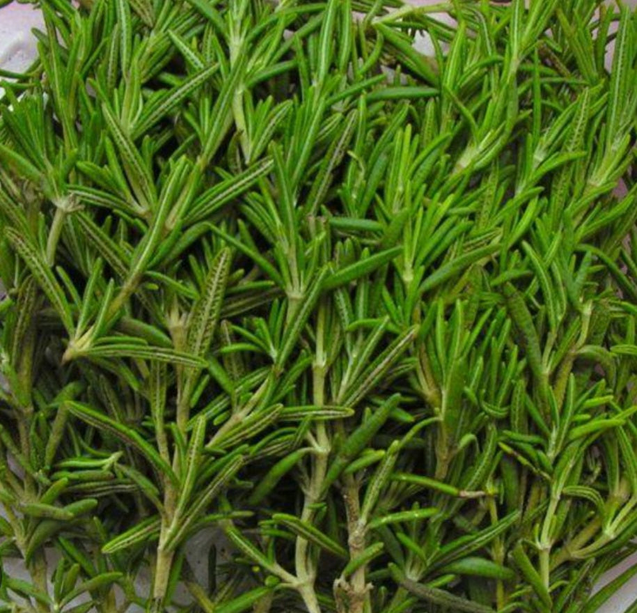 Rosemary Oil