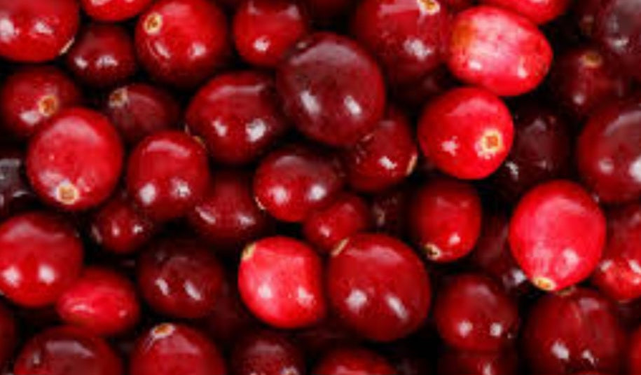 Cranberry Tincture