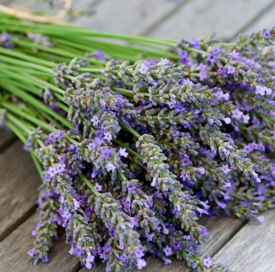 Lavender All Natural Vegan Handcrafted Bath Bar