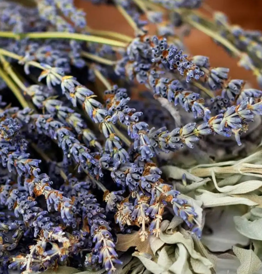 Lavender Dandelion Lotion