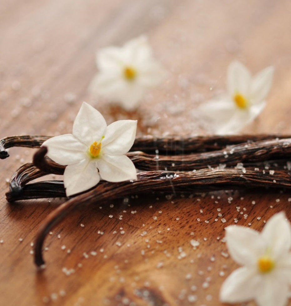 French Vanilla Dandelion Lotion