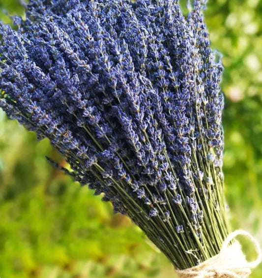 Organic Lavender & Hemp Lip Balm