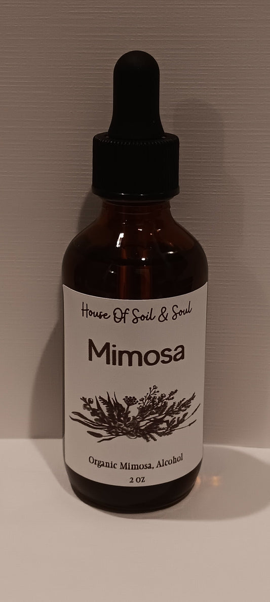 Mimosa Tincture