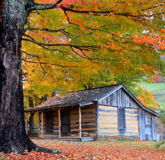 Cozy Cabin Natural Soy Wax Melts