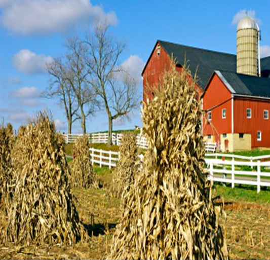 Amish Harvest Natural Soy Wax Melts