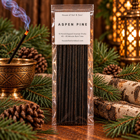 Aspen Pine