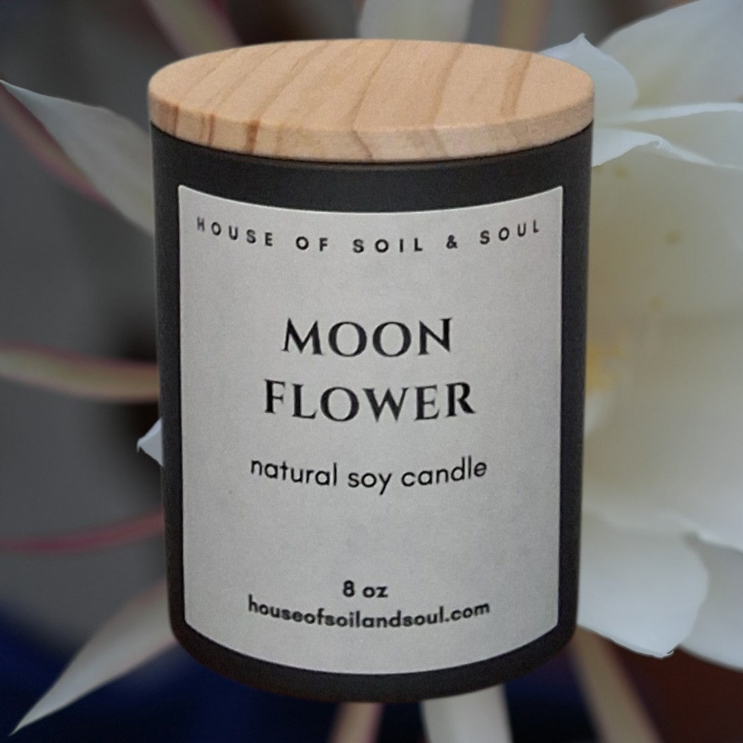 Moonflower