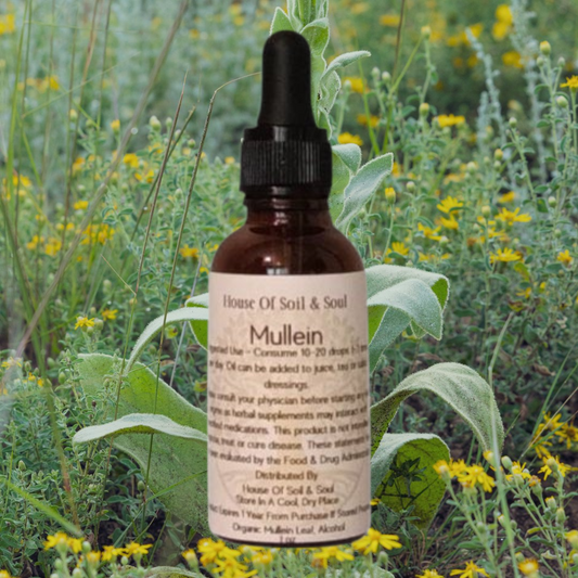 Mullein Tincture