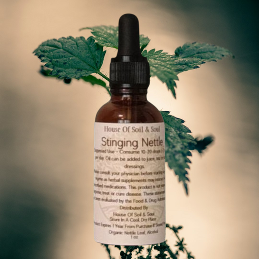 Stinging Nettle Tincture