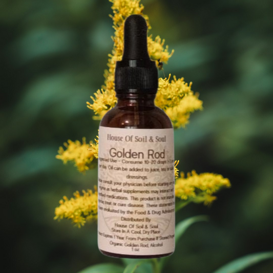 Golden Rod Tincture