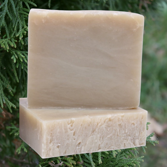 Cedar Mint Hair, Body & Beard Shampoo