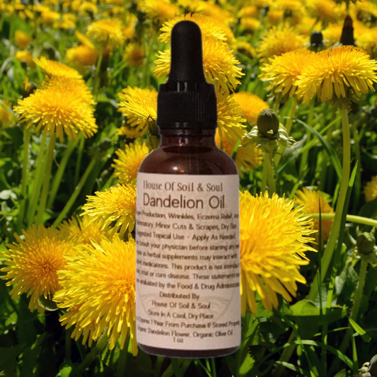 Dandelion Oil