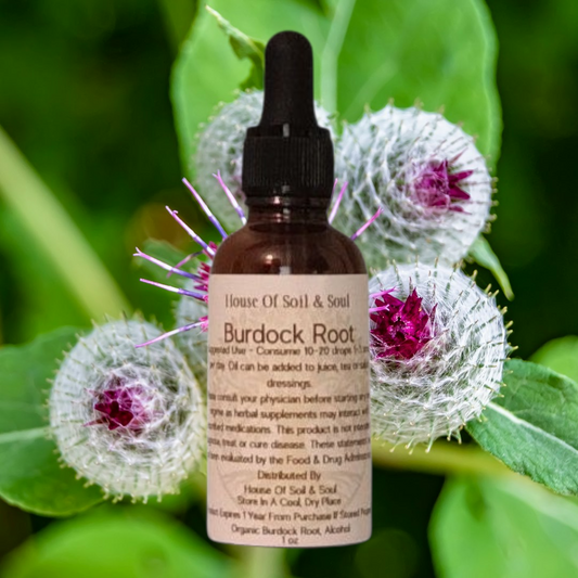 Burdock Root Tincture