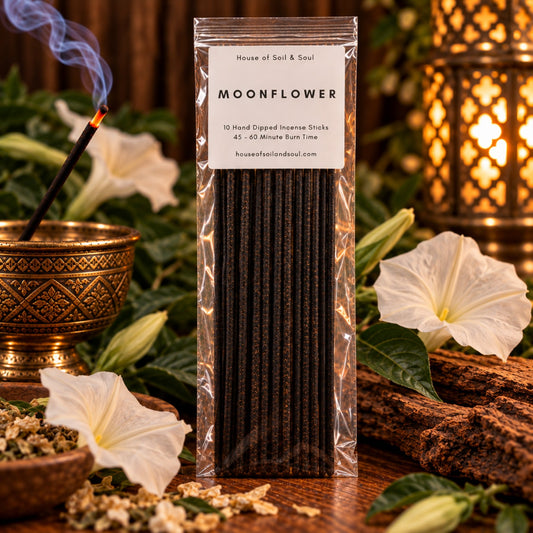 Moonflower